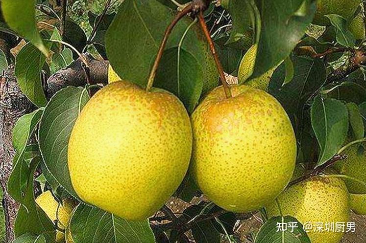 河北畫冊印刷基地