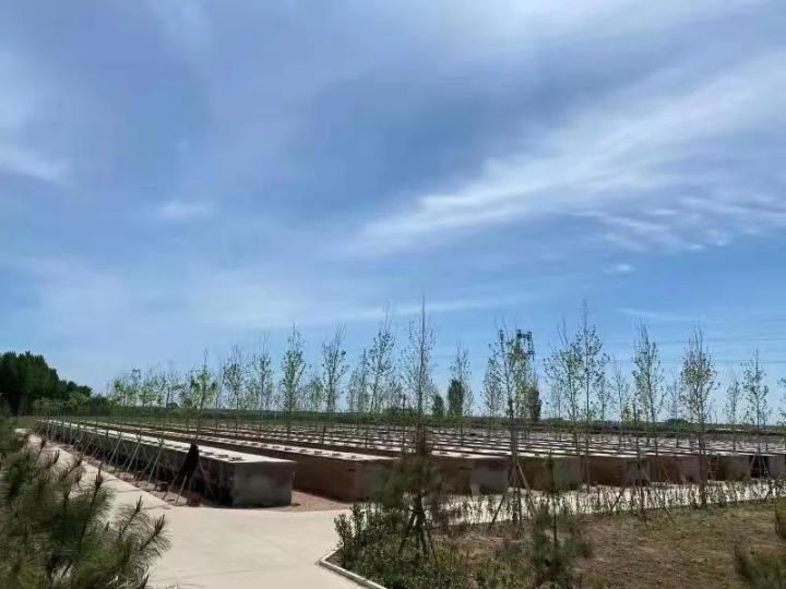 昌黎皮毛廠標簽印刷環保爭議